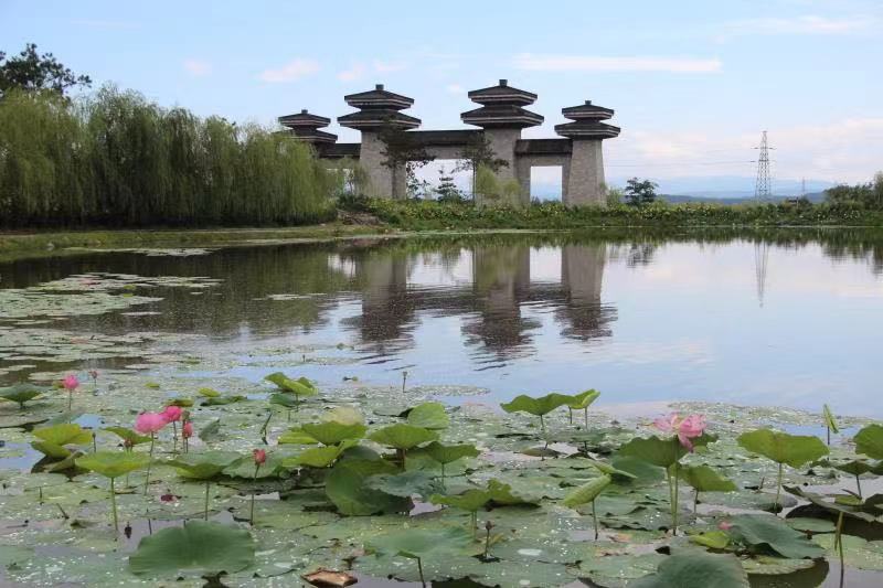 �ɻ�������