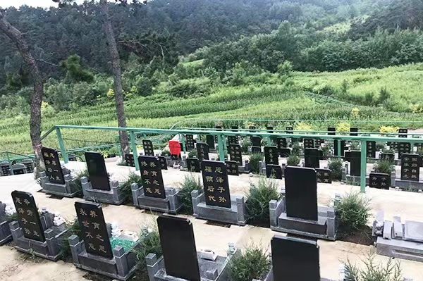 ��ɫС������